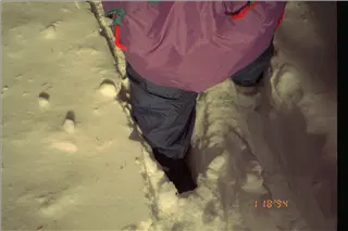 small_9400 1256 co maroon utIMG0080.webp